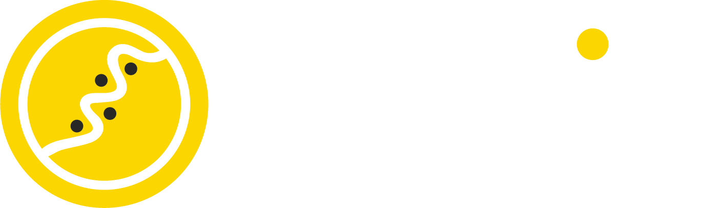 Cowrie Systems Logo